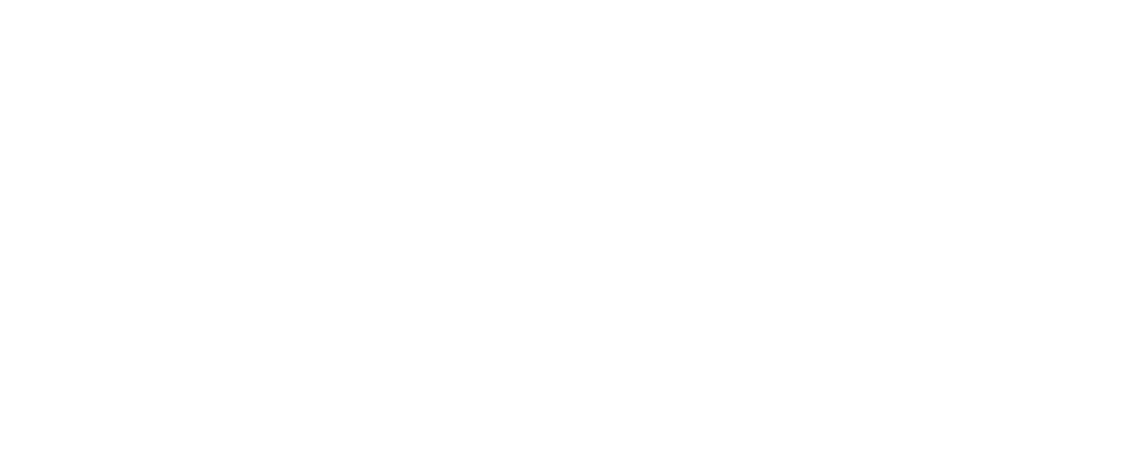Logo Lowerpro footer